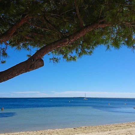 Le Cosy Daire Clermont-lʼHérault Dış mekan fotoğraf