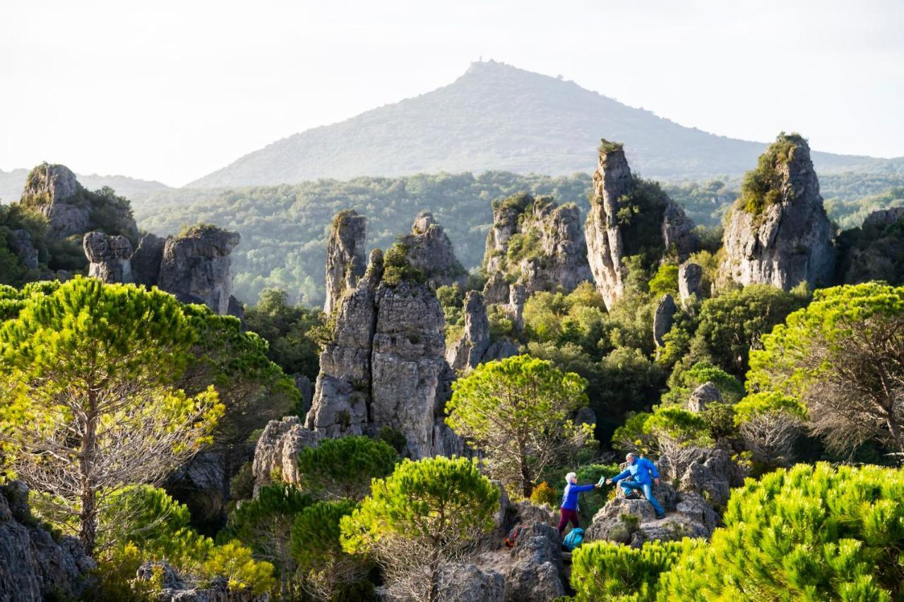 Le Cosy Daire Clermont-lʼHérault Dış mekan fotoğraf