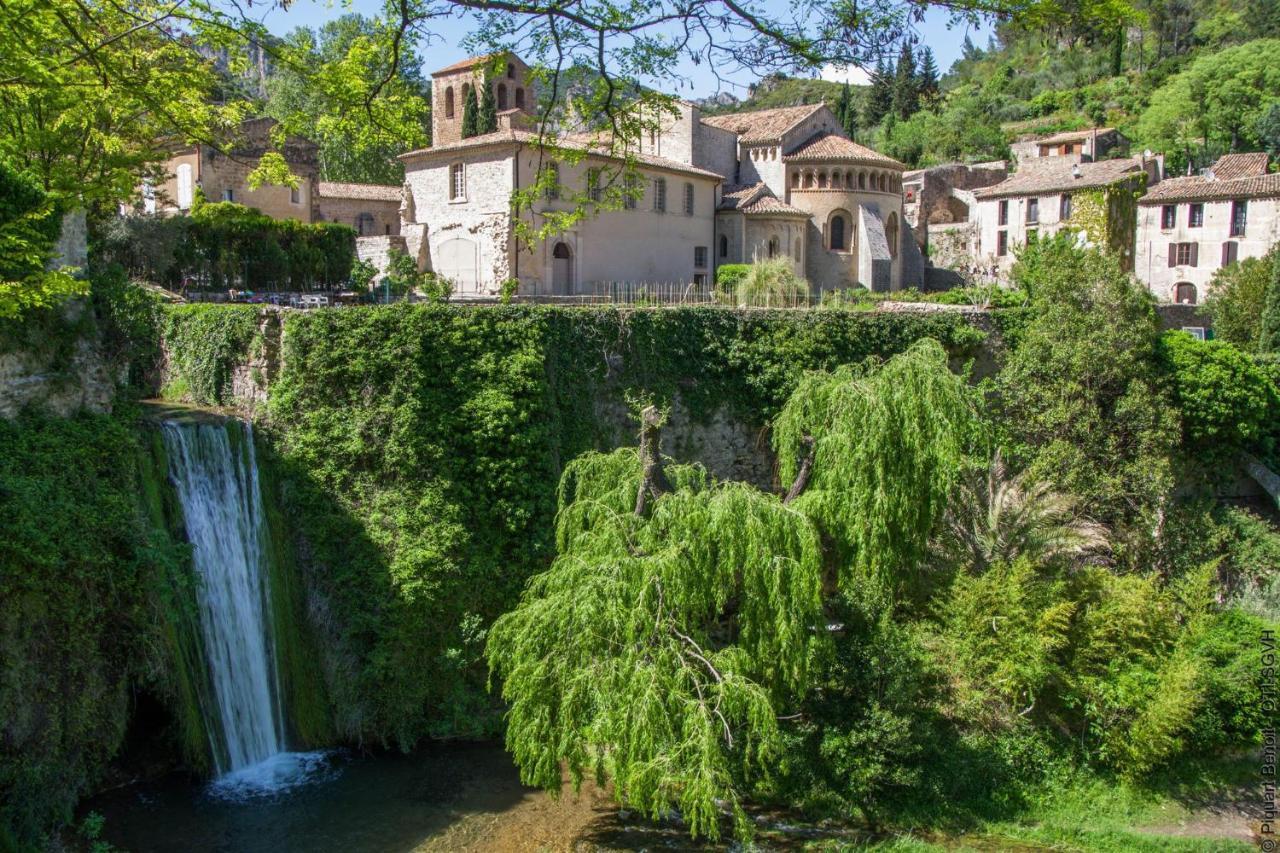 Le Cosy Daire Clermont-lʼHérault Dış mekan fotoğraf