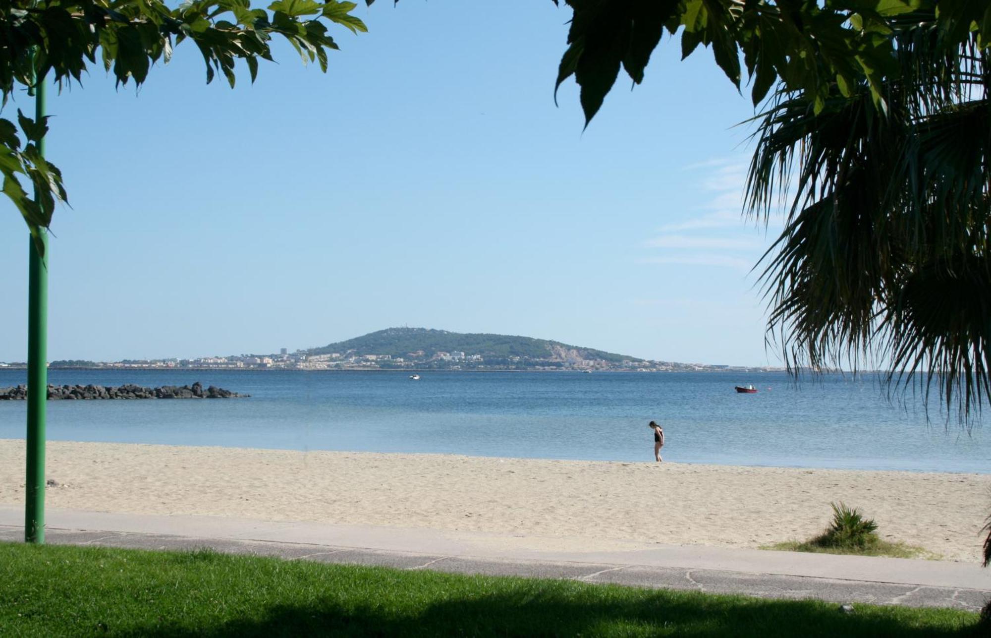 Le Cosy Daire Clermont-lʼHérault Dış mekan fotoğraf